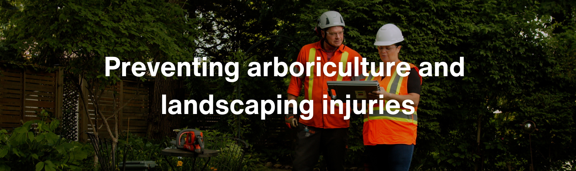 Preventing arboriculture and landscaping injuries-1